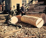 Chronik der Tischlerei Bauer aus Steinfeld - Abb. 02
